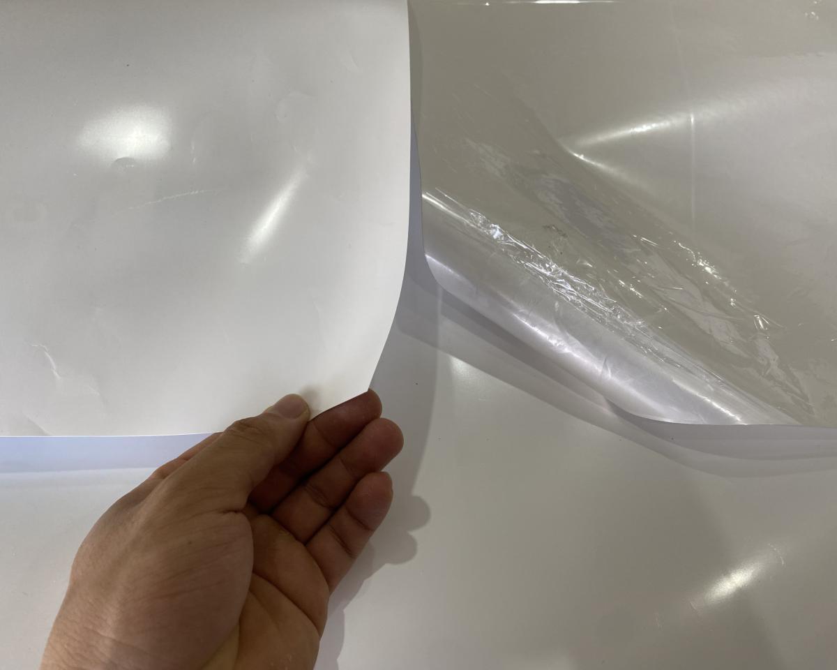 Giấy pp keo và không keo giấy pp keo và không keo